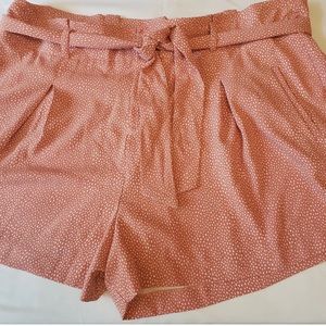 Torrid shorts NWT size 24